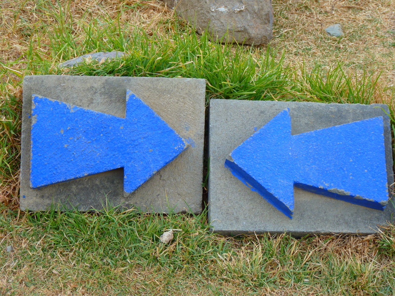 each other to, misleading, signposts, growth, grass, outdoors, paper, Stop, contrast, blue, contradictory, 4K, Blind Alley, counter, direction, signages