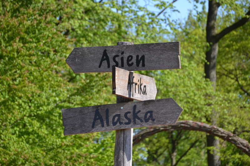 tree, direction, 4K, sign, western script, text, nature, message, directional sign, day, information, information sign, guidance, note, shield, arrow Symbol