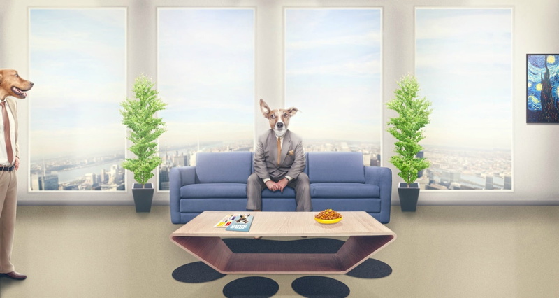 interview, sofa, situation, indoors, animal representation, The interview, furniture, funny, no people, glass - material, animal, creative, fantasy, dog