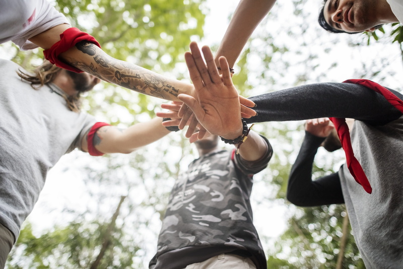 hobby, day, cooperation, teamwork, leisure activity, jungle, group of people, human hand, man, real people, holiday, diversity, green, group, playing, people