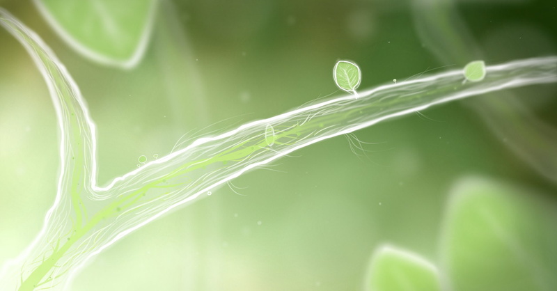 family, graphic, botanicula, 1080P, bokeh, fantasy, adventure, point and click