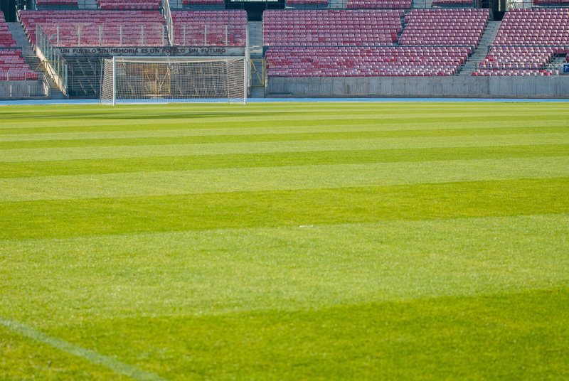 field, green color, vacuum, playing field, grass, sports, sports equipment, competition, soccer field, football, no people, outdoors, bleachers, soccer