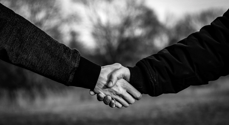 cooperation, handshake, two people, business, adult, focus on foreground, welcome, arrange, men, love, some, friendship, togetherness, human body part