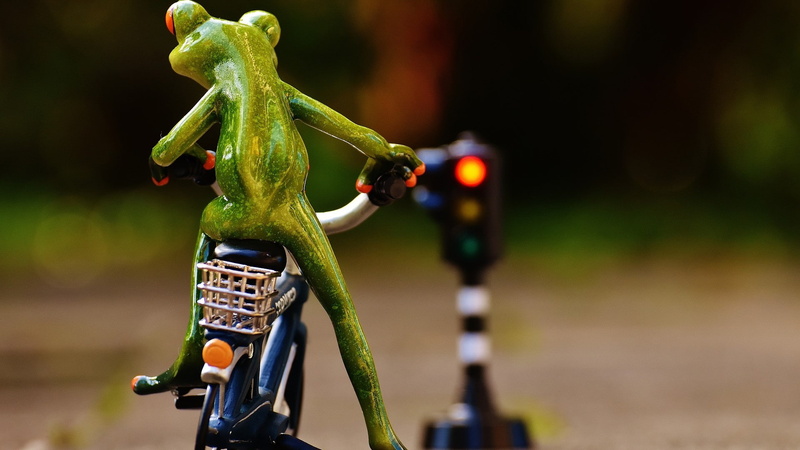 frog, ride, traffic lights, traffic signs, 1080P, cycling, bicycle