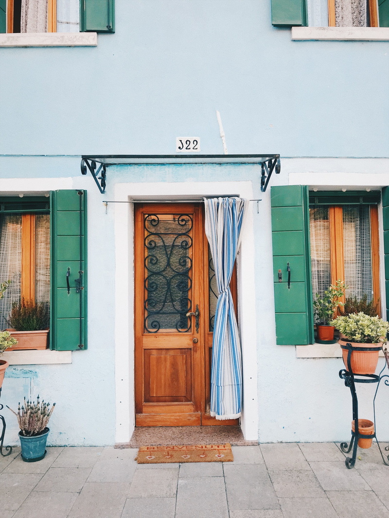 shutter, still life, green, flower, footpath, venice, italy, iphone, front door, burano, nature, residential district, brown, flower pot, city, shade, building