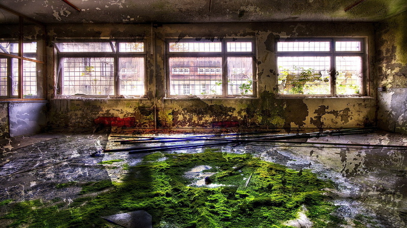 1080P, moss, bars, window, cityscape, room, abandoned