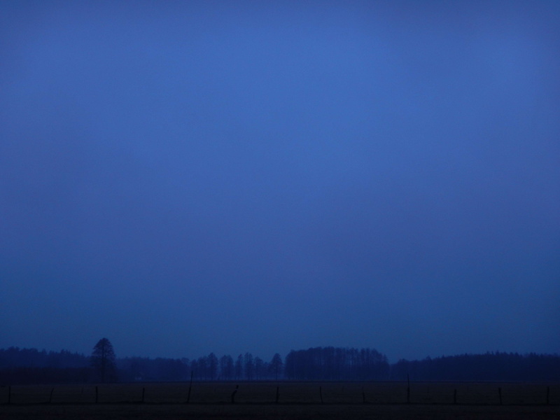 environment, rural scene, night, forest, copy space, fog, non-urban scene, landscape, tranquility, beauty in nature, tree, plant, nature, countryside, agriculture