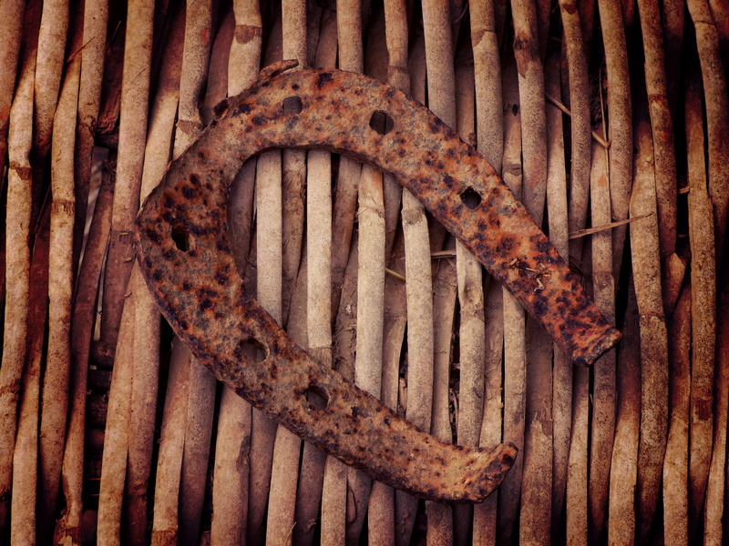 Wicker, traditional, close-up, day, no people, old, backgrounds, metal, iron, Symbol, obsolete, one animal, metaphor, animal wildlife, run-down, pattern