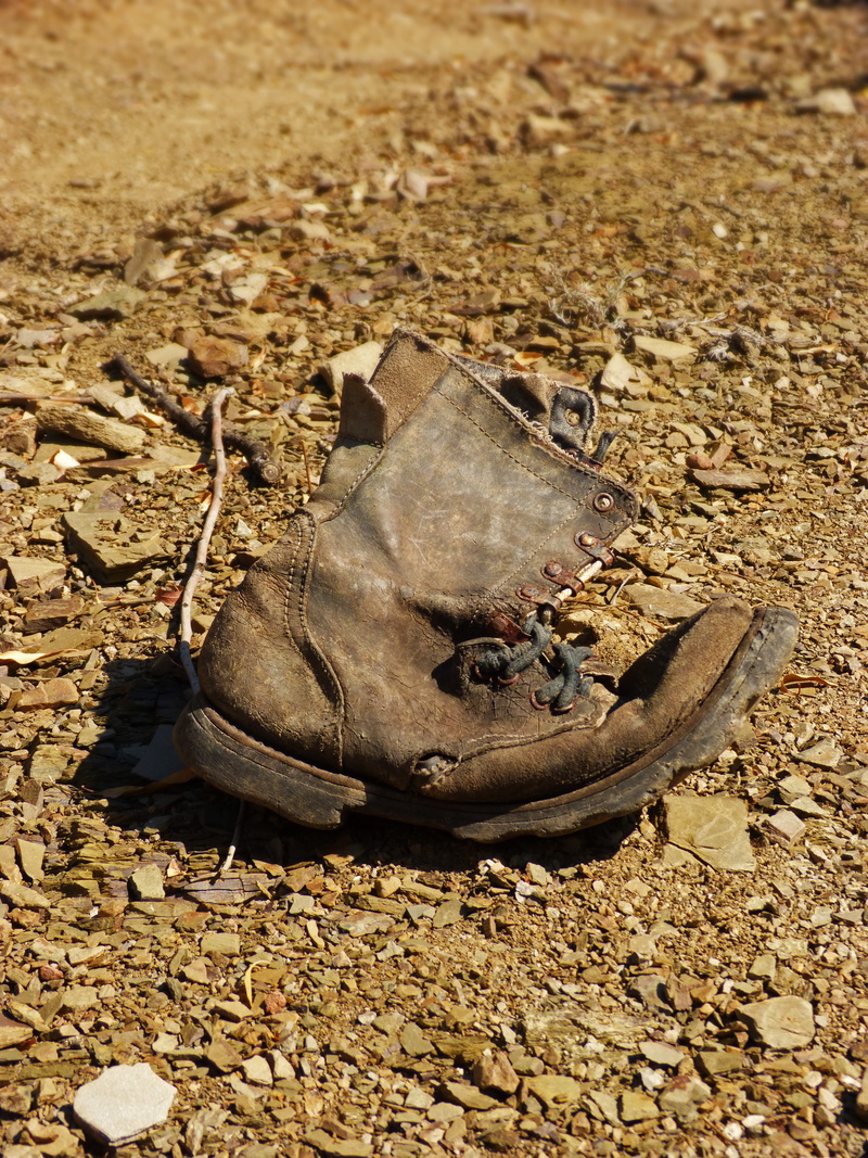 used, one animal, sunlight, abandoned, old, close-up, metaphor, sand, reptile, land, vertebrate, animals in the wild, high angle view, messy, field, boot