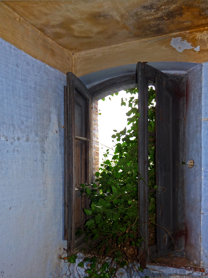 architecture And Buildings, open, no People, ruin, Ivy, nature, building, door, peeling paint, entrance, Old, Window, house abandoned, wood - material