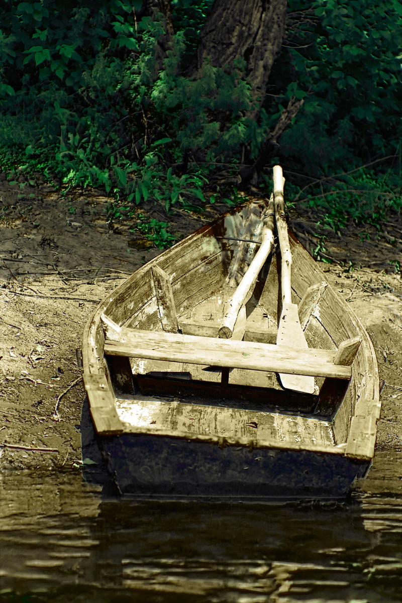 outdoors, travel, 2K, nautical vessel, nature, ship, sea, rowboat, mode of transportation, outdoor, river, forest, sailboat, boat, water, bank, waterfront