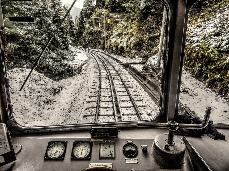 train - vehicle, tree, rail transportation, track, glass - material, transportation, cabin, public transportation, train, vehicle interior, land vehicle
