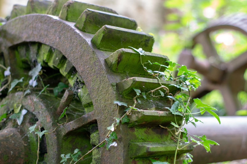 selective focus, focus on foreground, 5K, leaf, tree, beauty in nature, close-up, plant part, nature, moss, no people, plant, rusty, green color, old derelict mill