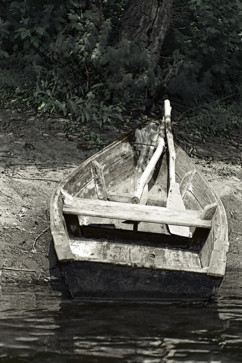 one person, nautical vessel, plant, 2K, summer, rowboat, shipping, oar, fishing, beach, forest, outdoors, romantic, mode of transportation, fit, relax