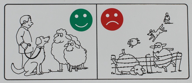 communication, representation, information boards, indoors, 2K, no people, human representation, male likeness, reference, creativity, sheep, activity
