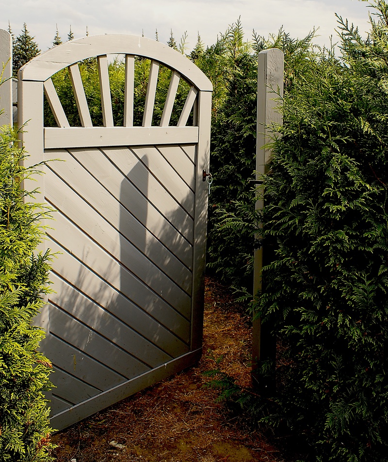 green, entrance, the door to the forest, sunny, connection, needle, afternoon, 2K, no people, the door, gate, leaf, front or back yard, building exterior