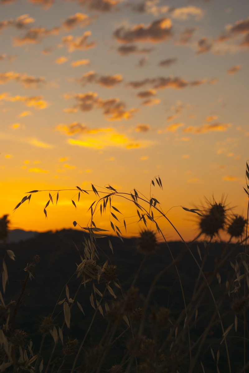 peña, sadness, at night, cloud - sky, agriculture, morning sun, sky, tranquility, beauty in nature, nature, nuebes, the light of the sun, beauty, landscape