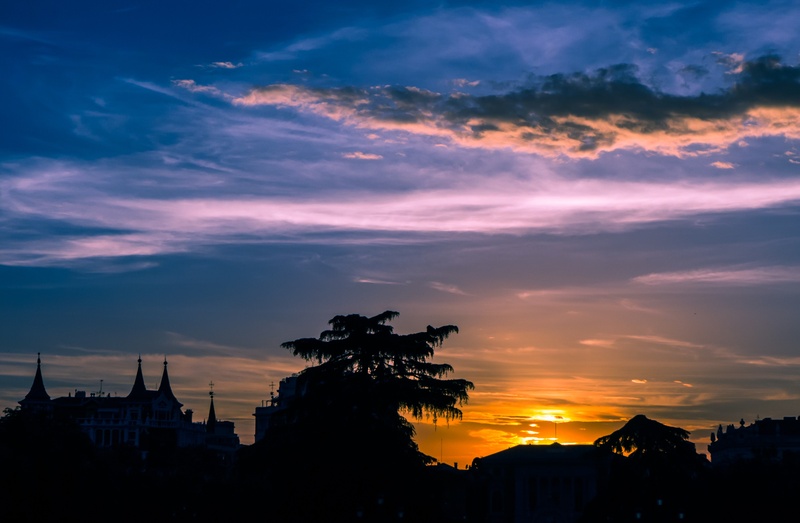 light, background image, building, cityscape, of, tree, golden, nature, 2K, residential district, dramatic, city, clams, building exterior, dawn, sun