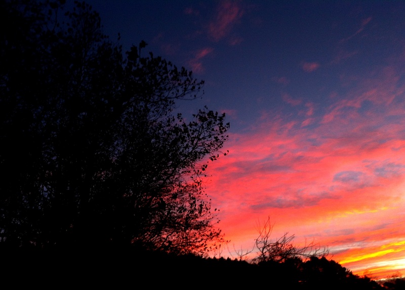 horizon, output del sol, outdoors, non-urban scene, backlight, red, tranquil scene, sky, the light of the sun, idyllic, low angle view, dawn between trees