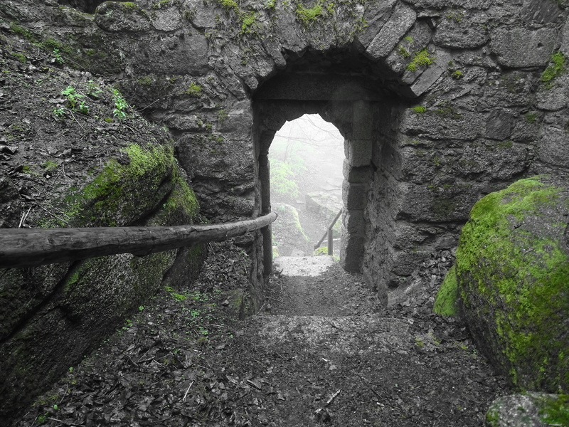 built structure, tree, ancient civilization, passage, arch, solid, masonry, direction, brick, wall, archway, ruined, plant, no people, stone wall, ancient