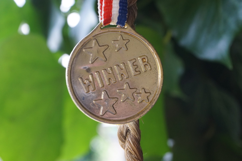 plant, day, finance, tree, nature, shape, symbol, metal, selective focus, medal, no people, gold, western script, outdoors, close-up, close, front runner