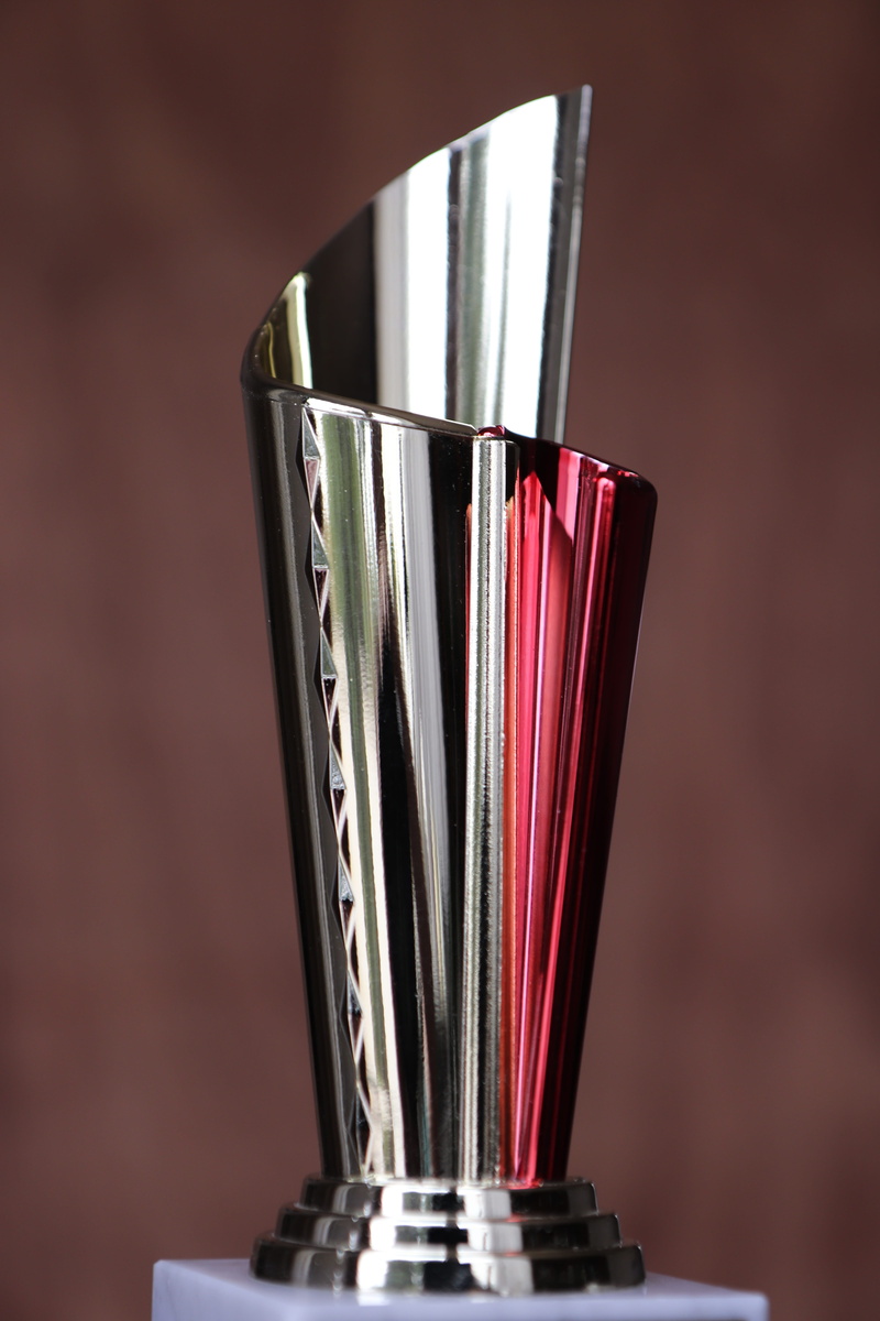 harmonious, still life, success, red, indoors, gloss, focus on foreground, skill, competition, no people, sport, grey, swinging, winning, achievement, silver colored