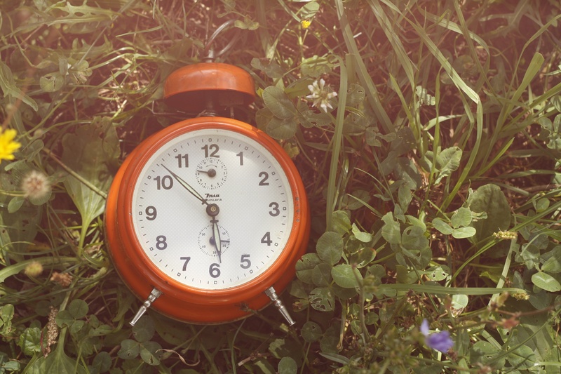 plant part, minute, leaf, alarm, clock face, spring, outdoors, symbol, alarm clock, green, time, day, instrument of time, clock, sky, daylight, close-up
