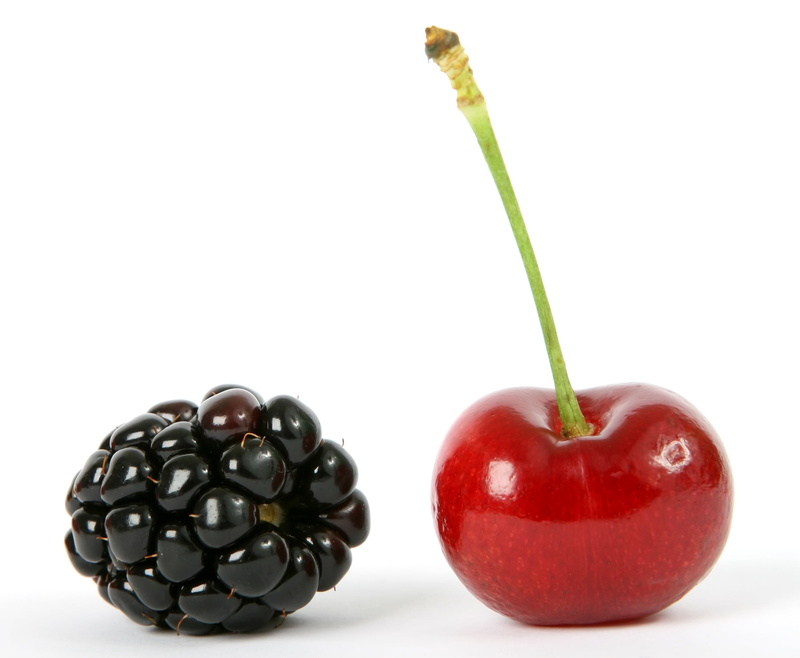 passion, vegetarian, plant stem, dessert, green, food and drink, cut out, isolated, color, natural, summer, lunch, stalk, sweet Food, red, raspberry, vegetarian Food