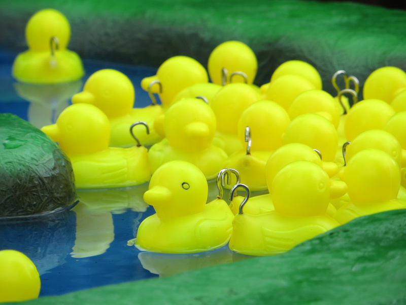 duck, rubber duck, amusement, plastic, inflatable, toy, 4K, water, selective focus, day, floating on water, hook-a-duck, close-up, funfair, poultry, prize