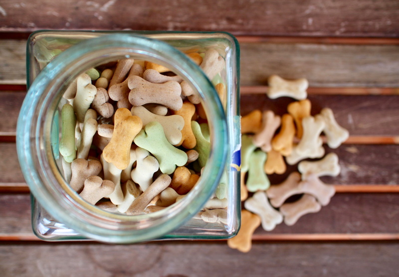 prize, bowl, wood - material, freshness, food, bones, wellbeing, high angle view, indoors, breakfast, animals, jar, 4K, nut - food, cans, food animals