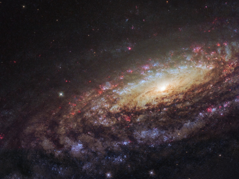 4K, space, galaxy, NASA, NGC 7331, Twins with differences, stars