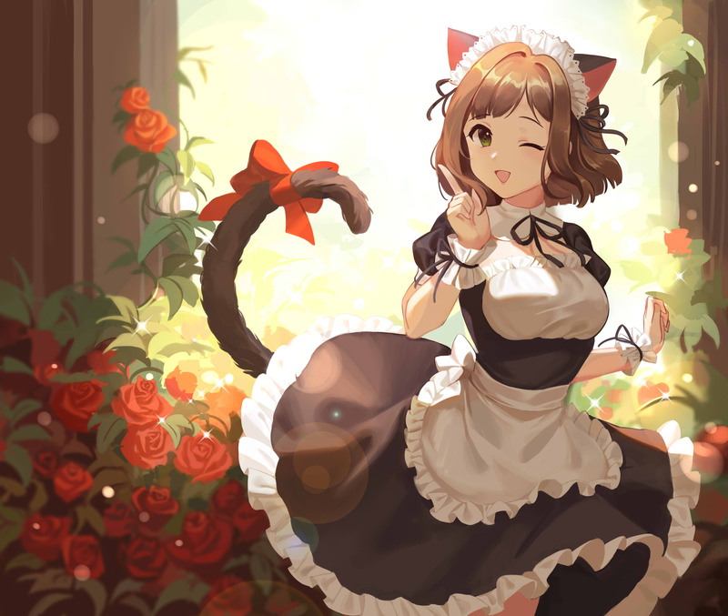 cat girl, maid, flowers, tail, Maekawa Miku, anime, brunette, anime girls, 4K, rose