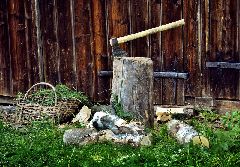 log, handle, grass, nature, land, brown, black, entrance, 2K, logs, old, built structure, abandoned, fuel, architecture, sunlight, growth, chopping, day