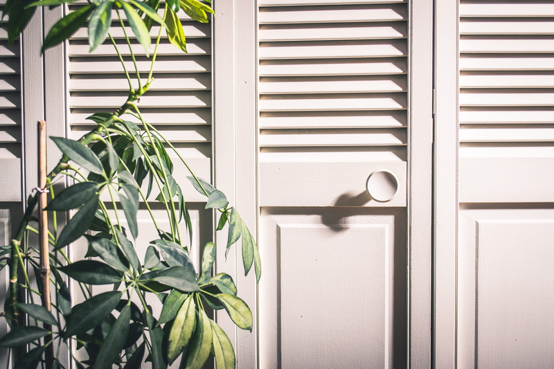 entrance, growth, metal, wood, 4K, green, shadow, plant, nature, knob, contemporary, near, interior, white, photo, house, leaf, design, plant part, green color