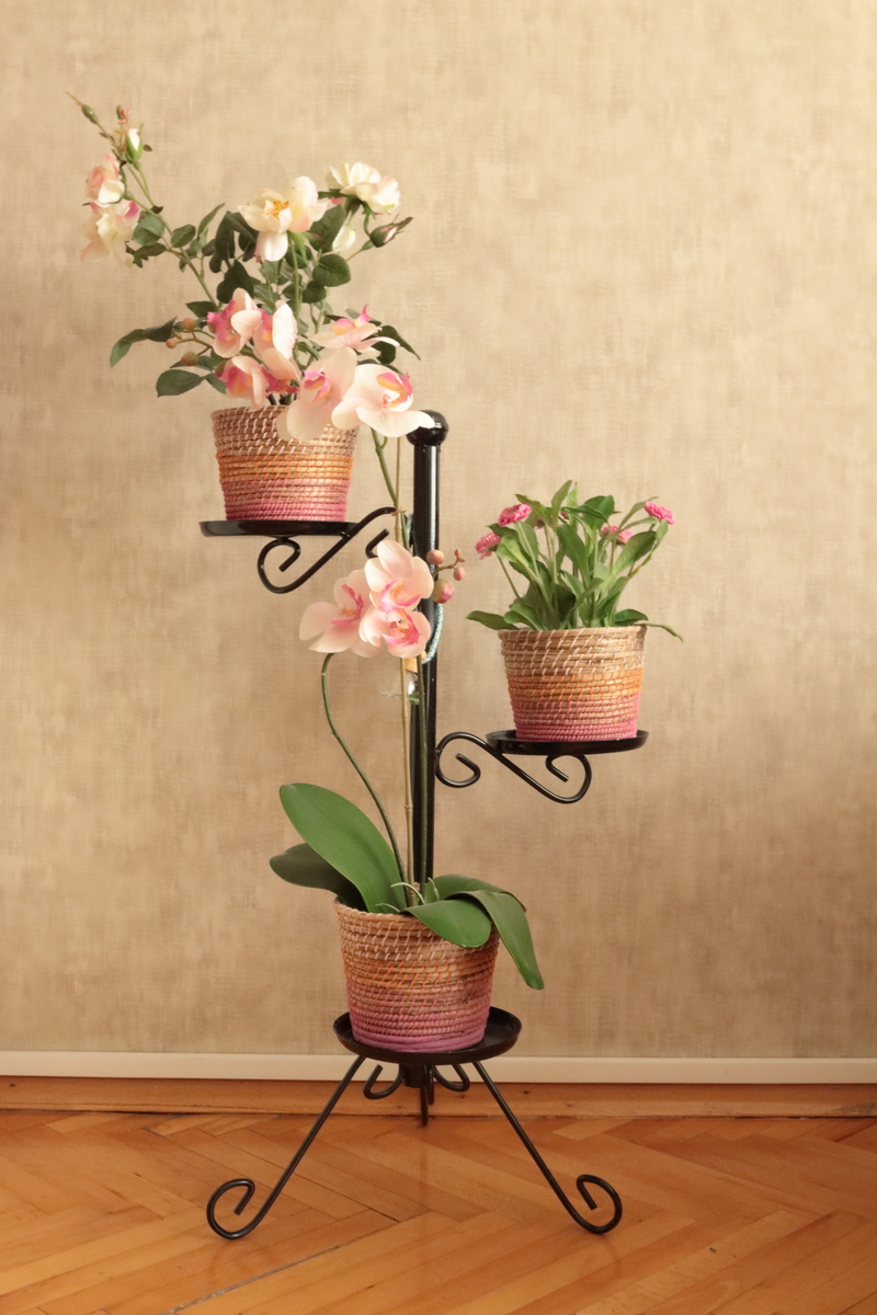 plant part, wall - building feature, flower head, jardiniere, 5K, no people, flower, wood, home interior, table, decoration, still life, bunch of flowers