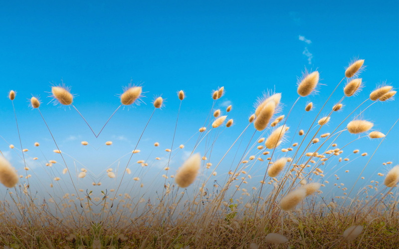 1080P, hd, htc, one, m9, landscape, m, nature, stock