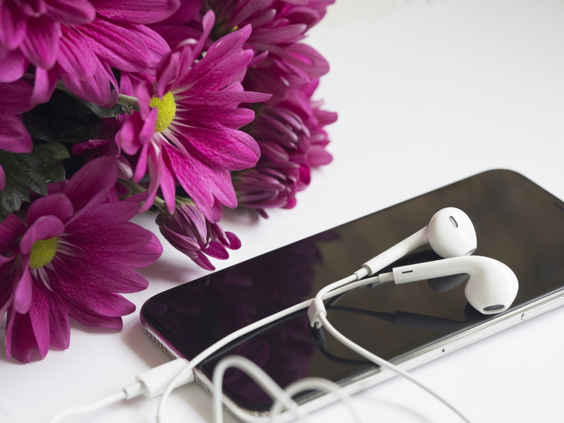 near, photography, touchscreen, screen, high angle view, flora, smartphone, table, nature, flower, device, beauty in nature, earphones, freshness, earphone
