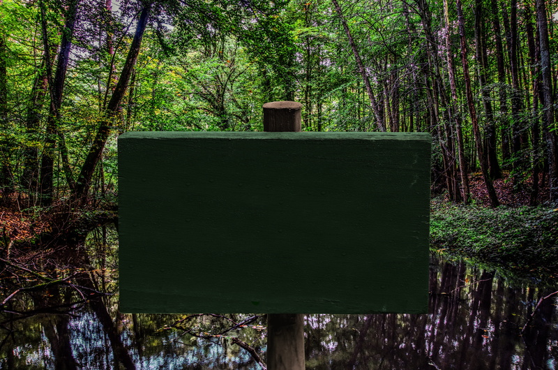 symbols, information sign, tranquility, leaves, shield, green, away, blank, tree trunk, lake, land, hiking, wood - material, board, trunk, plant, message