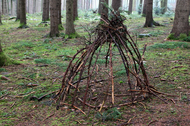 land, beauty in nature, Shamanism, tranquil scene, environment, nature ritual, believe, nature spirits, day, green color, symbol, religion, Ritual, woodland
