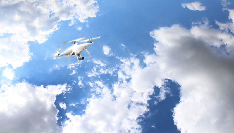 surveillance, aerial, bird, animal wildlife, fly, outdoors, camera, mid-air, animal themes, technology, spy, cloudy sky, robot, airplane, vehicle, digital composite