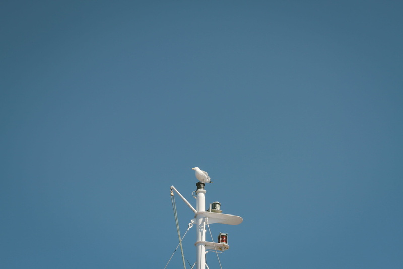 environmental conservation, connection, blue, architecture, megaphone, communication, wireless technology, antenna - aerial, sky, copy space, broadcasting