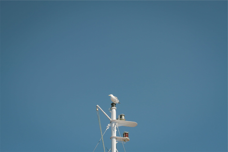 copy space, solar panel, day, nature, architecture, white, antenna - aerial, tower, sunny, metal, sky, no people, blue, sunlight, megaphone, mast, clear sky