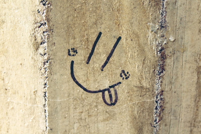 smiley, close-up, wall - building feature, art and craft, smiling, communication, handwritten, funny, 4K, day, no people, message, black color, joy, cheeky