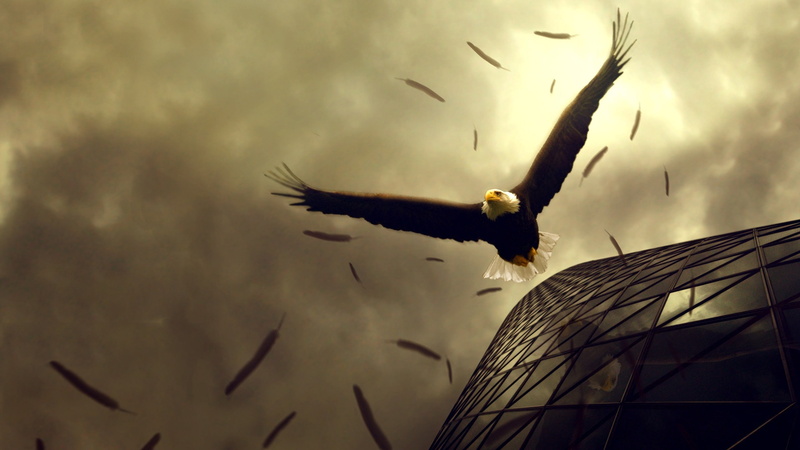 skyscapes, photography, abstract, 2K, art, hd, eagles, x