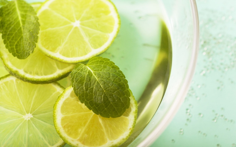 leaf, Lemon, Segments, drinking glass, Mint, healthy eating, food and drink, slice, wellbeing, fruit, Lemonade, mojito, glass, close-up, no people, refreshment