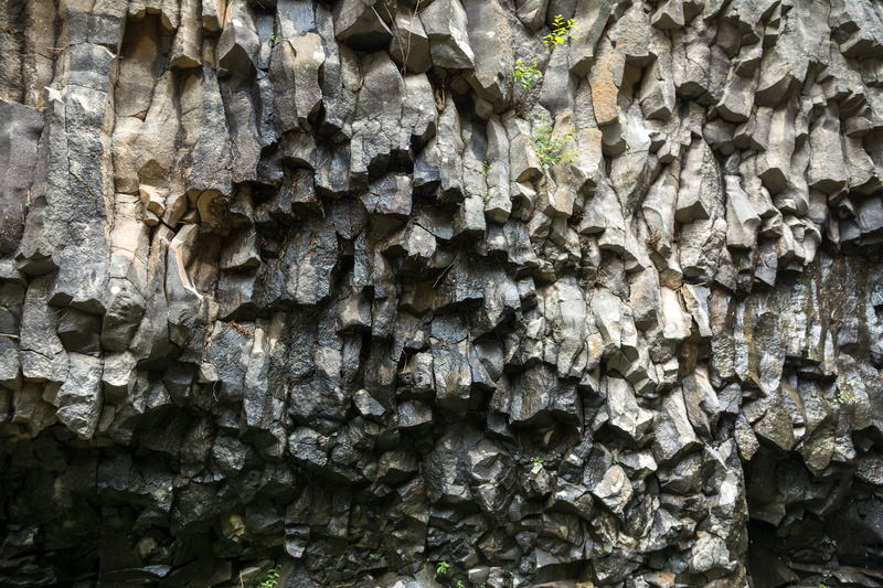 vertical, for carbon steel, perak, plant bark, wood, outdoors, rough, dam, tourist destination, close-up, abundance, day, textured, backgrounds, 5K, geological