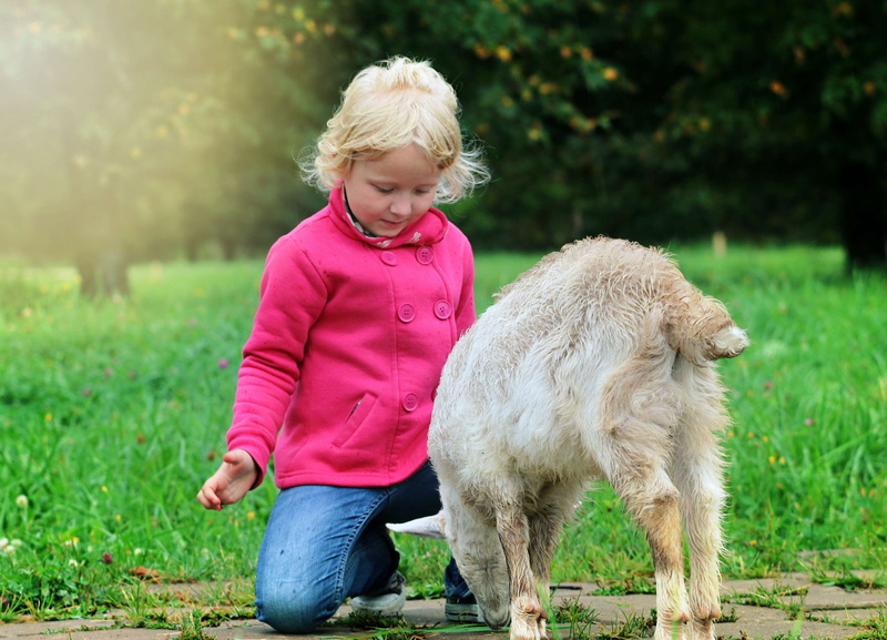 girls, sun, one animal, communication, standing, childhood, blond hair, domestic animals, offspring, park, mammal, full length, hair, hairstyle, outdoors