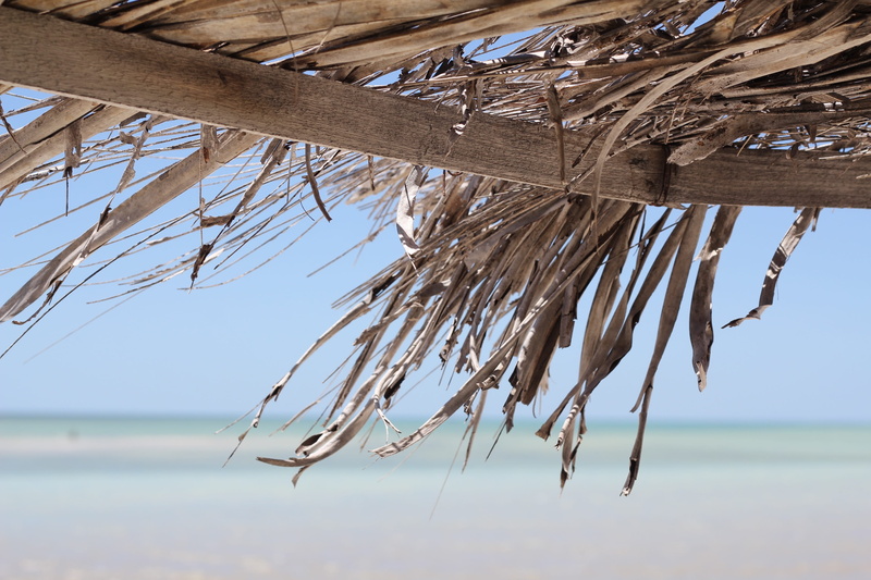 no people, Ocean, hanging, Sea, landscape, summer, relaxation, Beach, tropical, sunshine, relax, tranquility, beauty in nature, holiday, sky, fun, lifestyle