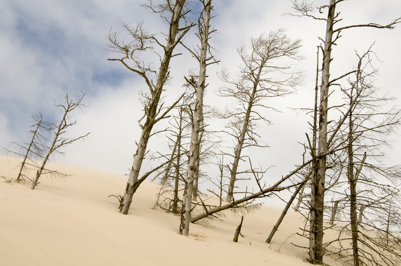 season, the sun, landscape, frost, clouds, outdoors, poland, cold temperature, mood, trunk, the coast, no people, sand, environment, snow, cold - Temperature