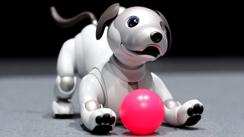 paws, smart, robot, dog, hi-tech, mechanism, face, the game, the ball, pink, the dark background, look, pose, 4K, toy, electronics, high technology, puppy